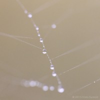 /album/galerie-photos/frida-dumont-img-4407-jpg/